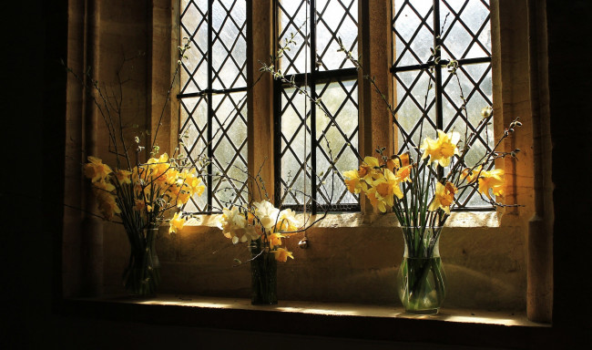 Обои картинки фото цветы, нарциссы, весенние, букеты, вазы, окно
