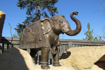 Картинка прага разное садовые+и+парковые+скульптуры слон зоопарк камни деревья