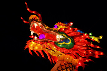 Картинка разное иллюминация вечер дракон зоопарк китай красиво огни фигура