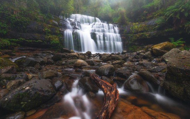 Обои картинки фото природа, водопады, liffey, falls, tasmania, река, водопад, австралия