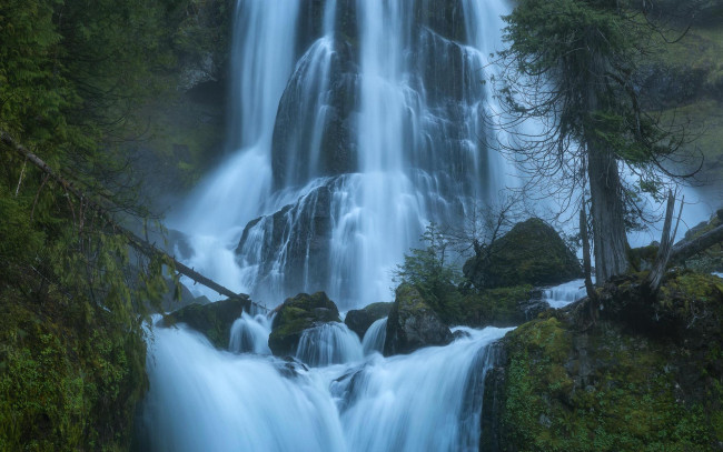Обои картинки фото природа, водопады, водопад, скалы, деревья
