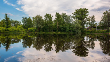 Картинка природа реки озера река деревья лето