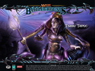 Картинка видео игры battle mages