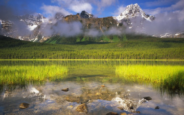 Картинка природа пейзажи озеро лес дымка над водой