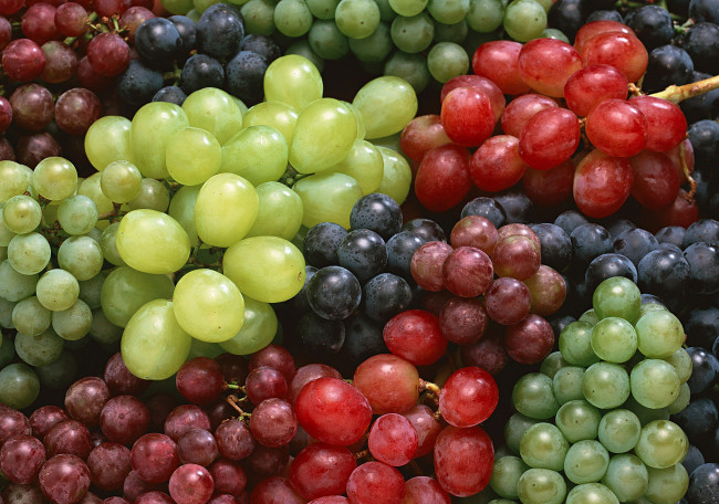 Обои картинки фото еда, виноград, красный, зелёный, синий