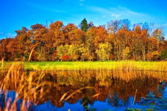 Картинка природа реки озера вода осень деревья отражение
