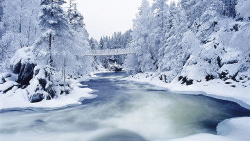 обоя frozen, river, and, trees, природа, зима, снег, лед, река