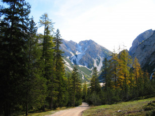 Картинка south tyrol italy природа горы лес