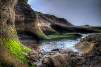 Картинка остров ванкувер канада природа побережье море