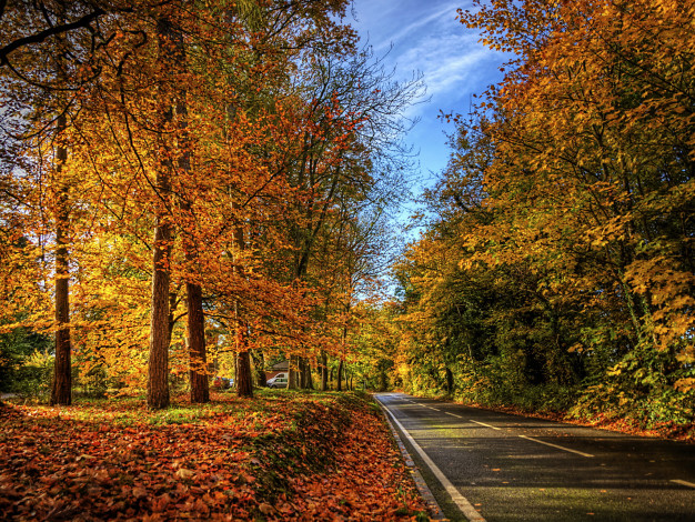 Обои картинки фото природа, дороги, дорога, деревья, осень