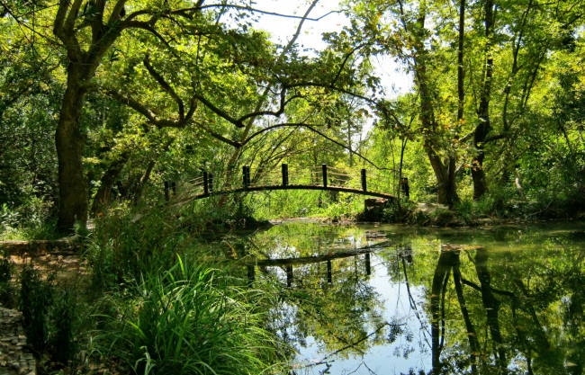 Обои картинки фото природа, реки, озера, река, лес, мостик, трава, лето, зелень