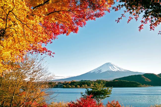 Обои картинки фото природа, горы, фудзияма, осень