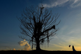 Картинка природа деревья дерево шарики девушка небо силуэт