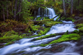 Картинка природа водопады лес осень река ветки потоки