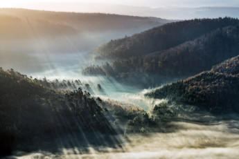 Картинка природа восходы закаты лучи утро восход туман лес