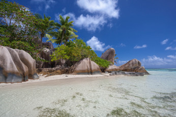 Картинка природа тропики океан пальмы пляж остров