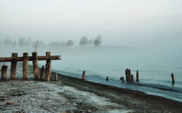Картинка природа побережье туман озеро деревья столбы забор снег берег