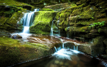 Картинка природа водопады водопад томпкинс new york мох andes tompkins falls эндс штат нью-йорк каскад камни