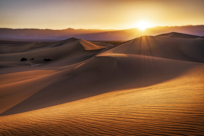 Обои картинки фото природа, пустыни, закат, песок, пустыня