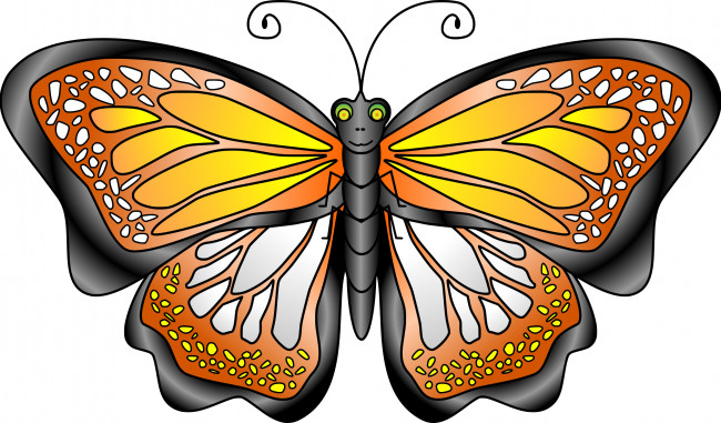 Обои картинки фото векторная графика, животные , animals, бабочка, фон