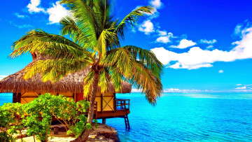 Картинка moorea+island tahiti french+polynesia природа тропики moorea island french polynesia