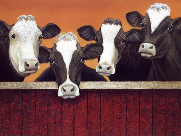 Обои картинки фото рисованные, животные, коровы