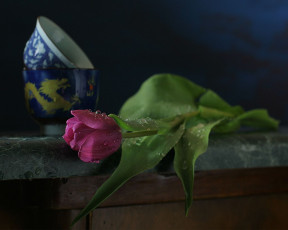 Картинка ира быкова цветы тюльпаны