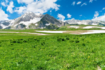 Картинка природа горы пейзаж луг