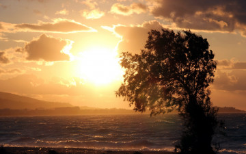 Картинка природа восходы закаты закат дерево море