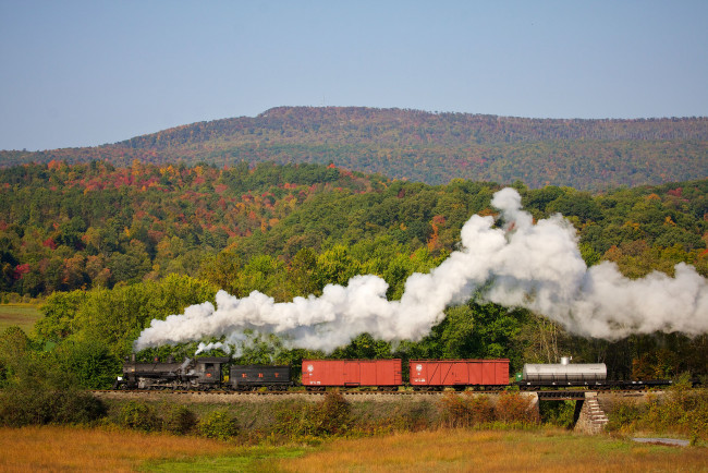 Обои картинки фото техника, паровозы, поезд, дым, леса