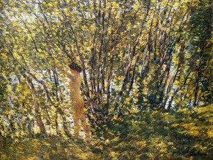 Картинка nude+in+the+sunlilt+wood рисованное frederick+childe+hassam река берег деревья лес девушка