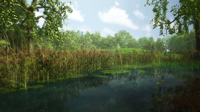 Обои картинки фото 3д графика, природа , nature, деревья, камыш, река