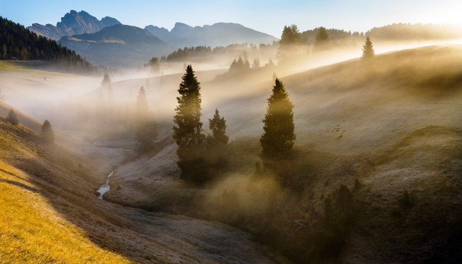 Обои картинки фото природа, восходы, закаты, ручей, деревья, горы, утро, туман