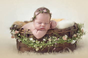 Картинка разное дети младенец сон цветы корзина