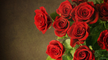 Картинка цветы розы красные в каплях