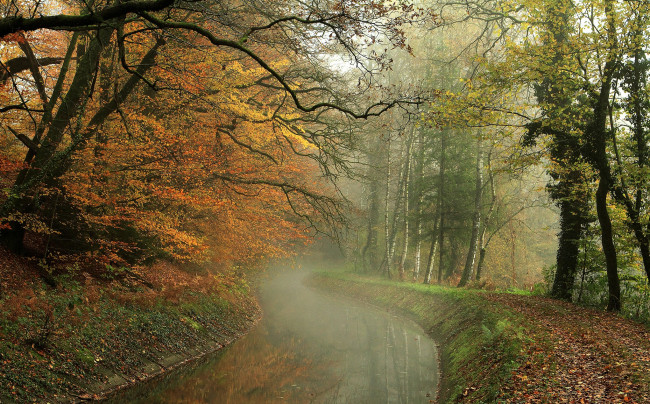 Обои картинки фото природа, реки, озера, лес, туман, река, листва, осень