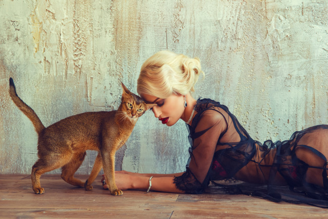 Обои картинки фото девушки, -unsort , блондинки, украшения, пеньюар, блондинка, девушка, кошка, кот