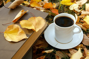 Картинка еда кофе +кофейные+зёрна листья книга осень