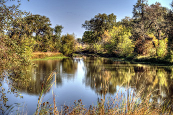 Картинка природа реки озера заводь тихая