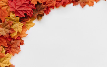 Картинка разное ремесла +поделки +рукоделие maple осенние leaves autumn background colorful фон листья осень