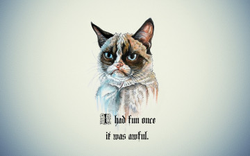 Картинка рисованное животные +коты надпись минимализм кот