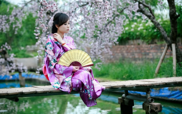 Картинка девушки -+азиатки сакура веер кимоно