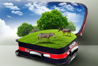 Картинка разное компьютерный дизайн зебры чемодан деревья трава