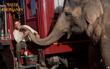 Картинка water for elephants кино фильмы человек воды слонам слон