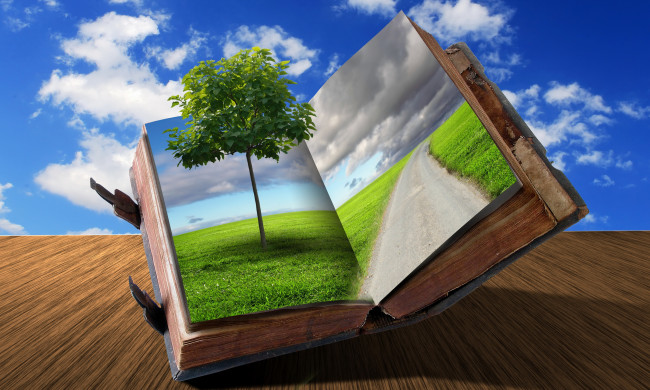 Обои картинки фото разное, компьютерный, дизайн, книга, трава, дерево