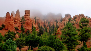 Картинка природа горы туман скалы деревья