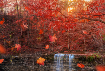 Картинка природа водопады листья осень водопад листопад
