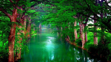 Картинка природа реки озера изумрудный деревья