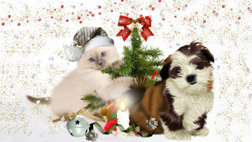 Картинка праздничные -+разное+ новый+год дружба собака кот