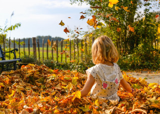 Картинка разное дети девочка листья осень